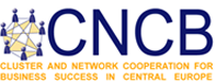 Cluster and Network Cooperation for Business Success in Central Europe